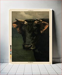 Πίνακας, Bull's head