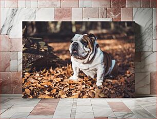 Πίνακας, Bulldog in Autumn Forest Μπουλντόγκ στο φθινοπωρινό δάσος