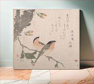 Πίνακας, Bullfinches and Cherry Blossoms by Kubo Shunman