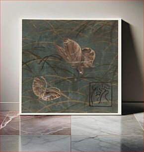 Πίνακας, Butterflies and grasses, Honami Koetsu