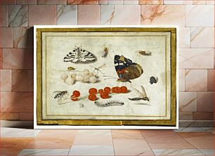 Πίνακας, Butterflies, Insects, and Currants; Jan van Kessel II (Flemish, 1626 - 1679); about 1650 - 1655
