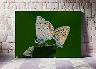 Πίνακας, Butterflies on a Leaf Πεταλούδες σε ένα φύλλο