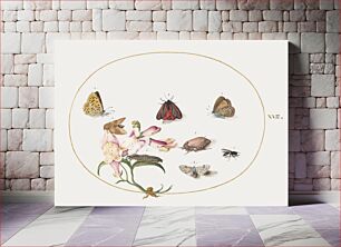 Πίνακας, Butterflies with Other Insects and a Snapdragon (1575–1580) by Joris Hoefnagel