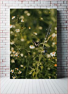 Πίνακας, Butterfly Among Flowers πεταλούδα ανάμεσα στα λουλούδια