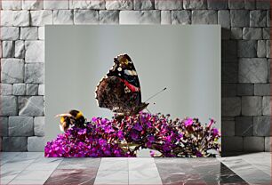 Πίνακας, Butterfly and Bumblebee on Flowers Πεταλούδα και μέλισσα στα λουλούδια