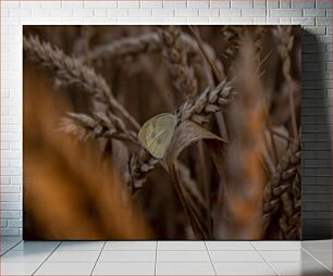 Πίνακας, Butterfly in Wheat Field Πεταλούδα στο Σιτάρι