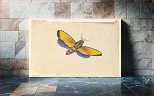 Πίνακας, Butterfly