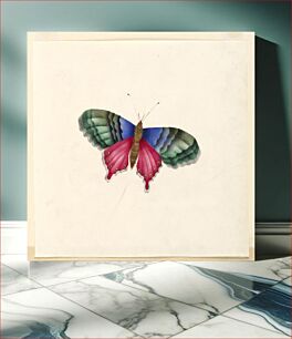 Πίνακας, Butterfly