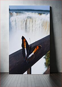 Πίνακας, Butterfly Near Waterfall Πεταλούδα κοντά στον καταρράκτη