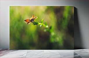 Πίνακας, Butterfly on a Leaf Πεταλούδα σε ένα φύλλο