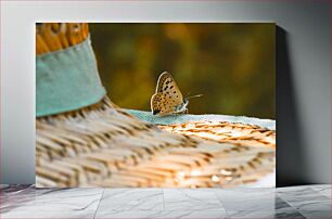 Πίνακας, Butterfly on a Straw Hat Πεταλούδα σε ψάθινο καπέλο