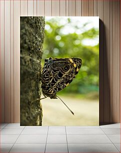 Πίνακας, Butterfly on a Tree Πεταλούδα σε ένα δέντρο