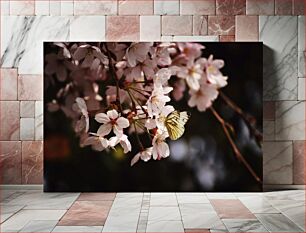 Πίνακας, Butterfly on Blossom Πεταλούδα στο Blossom