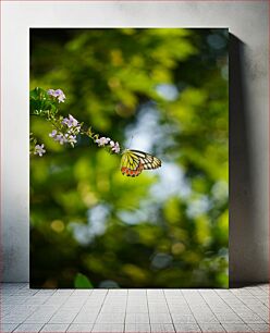 Πίνακας, Butterfly on Blossom Butterfly on Blossom