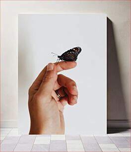 Πίνακας, Butterfly on Finger Πεταλούδα στο δάχτυλο