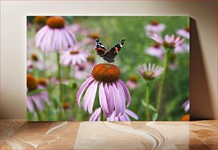 Πίνακας, Butterfly on Flower Πεταλούδα στο λουλούδι