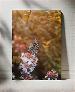 Πίνακας, Butterfly on Flower Πεταλούδα στο λουλούδι
