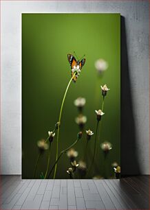 Πίνακας, Butterfly on Flower Πεταλούδα στο λουλούδι