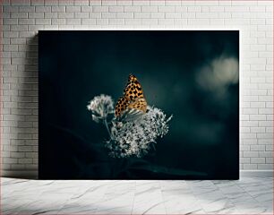 Πίνακας, Butterfly on Flower Πεταλούδα στο λουλούδι