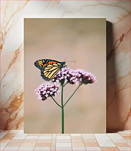 Πίνακας, Butterfly on Flowers Πεταλούδα στα λουλούδια