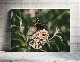 Πίνακας, Butterfly on Flowers Πεταλούδα στα λουλούδια