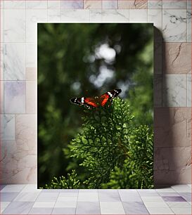 Πίνακας, Butterfly on Green Foliage Πεταλούδα σε πράσινο φύλλωμα