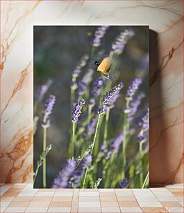 Πίνακας, Butterfly on Lavender Πεταλούδα στη Λεβάντα