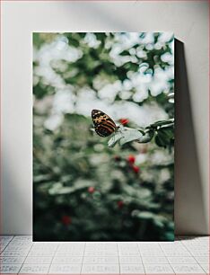 Πίνακας, Butterfly on Leaf Πεταλούδα στο φύλλο
