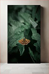 Πίνακας, Butterfly on Leaf Πεταλούδα σε φύλλο