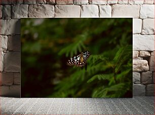 Πίνακας, Butterfly on Leaf Πεταλούδα σε φύλλο
