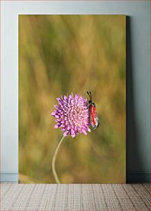 Πίνακας, Butterfly on Pink Flower Πεταλούδα σε ροζ λουλούδι