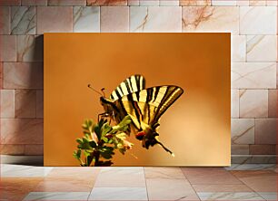 Πίνακας, Butterfly on Plant Πεταλούδα στο φυτό