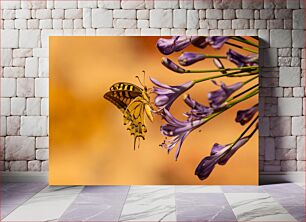 Πίνακας, Butterfly on Purple Flowers Πεταλούδα σε μωβ λουλούδια