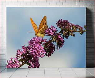 Πίνακας, Butterfly on Purple Flowers Πεταλούδα σε μωβ λουλούδια