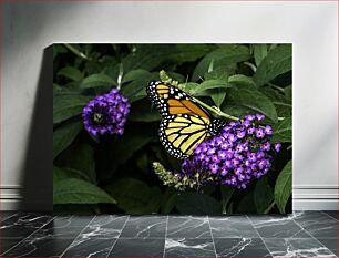 Πίνακας, Butterfly on Purple Flowers Πεταλούδα στα μωβ λουλούδια