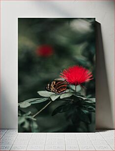 Πίνακας, Butterfly on Red Flower Πεταλούδα στο κόκκινο λουλούδι
