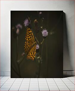 Πίνακας, Butterfly on Thistle Flowers Πεταλούδα στα λουλούδια γαϊδουράγκαθου