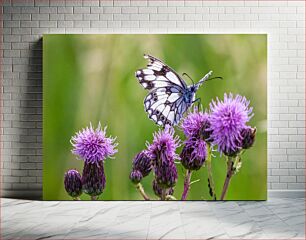 Πίνακας, Butterfly on Thistle Flowers Πεταλούδα στα λουλούδια γαϊδουράγκαθου