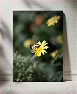 Πίνακας, Butterfly on Yellow Flower Πεταλούδα σε κίτρινο λουλούδι