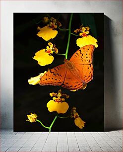 Πίνακας, Butterfly on Yellow Flowers Πεταλούδα σε κίτρινα λουλούδια