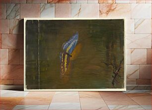 Πίνακας, Butterfly over Water, Frederic Edwin Church