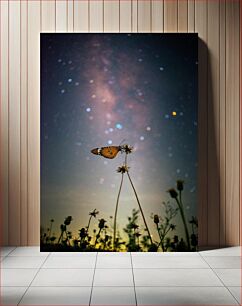 Πίνακας, Butterfly Under the Night Sky Πεταλούδα κάτω από τον νυχτερινό ουρανό