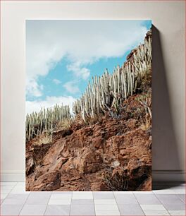 Πίνακας, Cacti on Rocky Cliff Κάκτοι στο Rocky Cliff