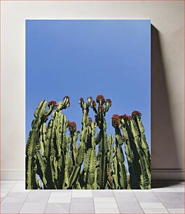 Πίνακας, Cacti Under Blue Sky Κάκτοι κάτω από το γαλάζιο του ουρανού
