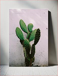 Πίνακας, Cactus Against Wall Κάκτος ενάντια στον τοίχο