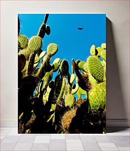 Πίνακας, Cactus and Blue Sky Κάκτος και Γαλάζιος Ουρανός