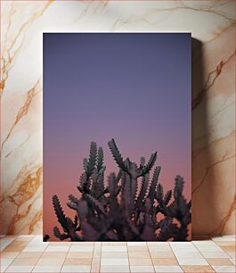 Πίνακας, Cactus at Sunset Κάκτος στο ηλιοβασίλεμα