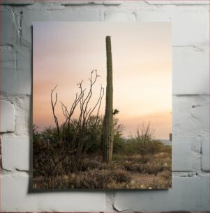Πίνακας, Cactus at Sunset Κάκτος στο ηλιοβασίλεμα