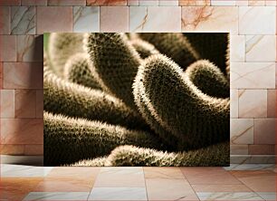 Πίνακας, Cactus Close-Up Κάκτος από κοντά