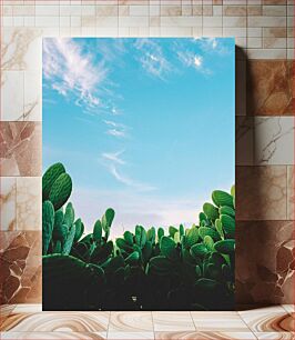 Πίνακας, Cactus Under the Sky Κάκτος κάτω από τον ουρανό